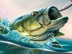 Ocean Angler Quest